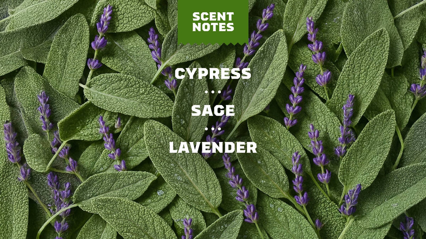 ALPINE SAGE - US 2912