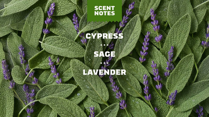 ALPINE SAGE - US 2912