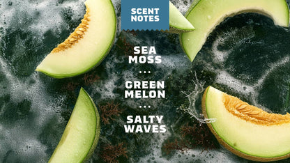 COASTAL MIST SPRAY DEODORANT - US 4275